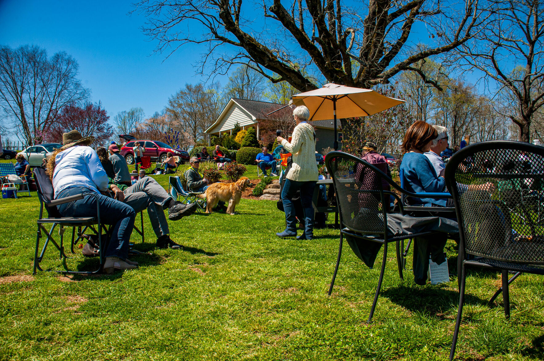 20210403-LEE_1732-Edit.jpg